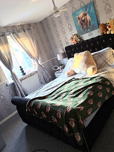 Black velvet upholstered - black,