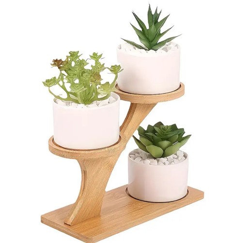 Tier bamboo plant - 2-tier,