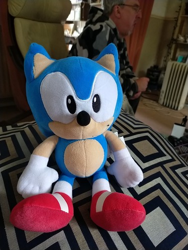Official sonic the hedgehog - the,