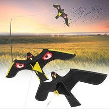 Flying hawk kite garden bird - hawk,