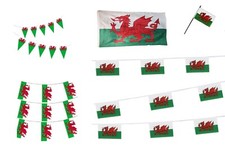 Welsh Flag Bunting Pennants