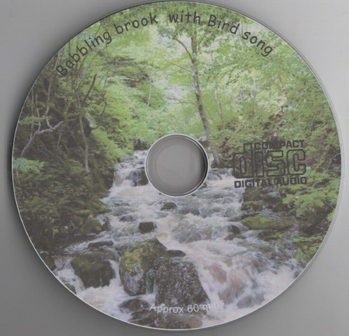 Stream flowing birds - flowing, singing