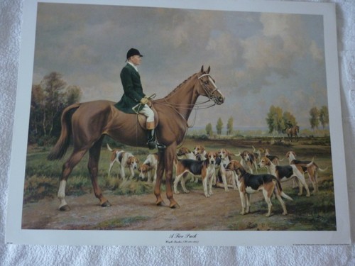Foxhound pack with huntsman a - foxhound,