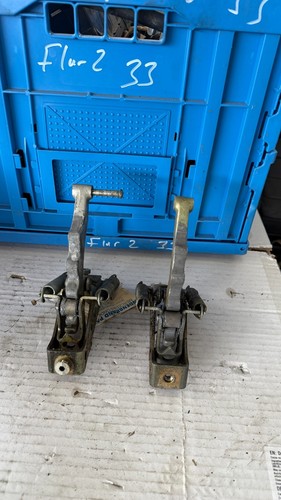 Door brake door safety strap