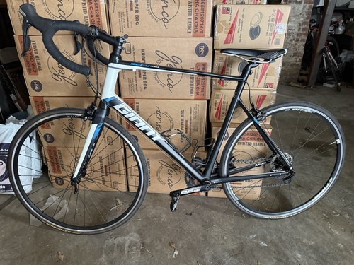 Giant defy alluxx road - sl,