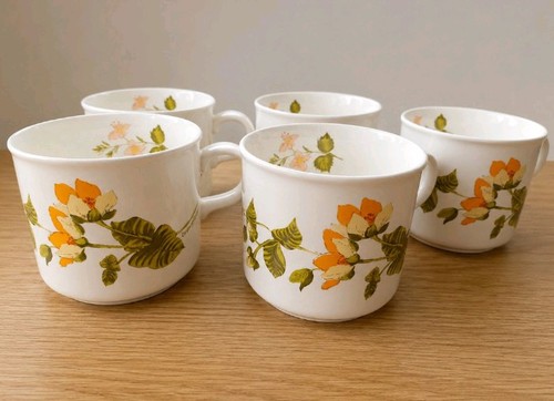 Royal worcester palissy meadow - worcester,