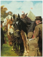 An Axious time, Black Beauty, Lucy Kemp Welch horse print in 11 x 14 inch mount