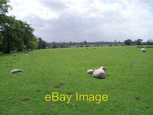 Photo 6x4 grazing - grazing, land