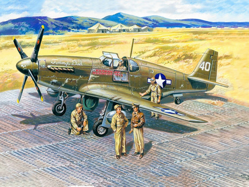 Icm aircraft mustang - -,
