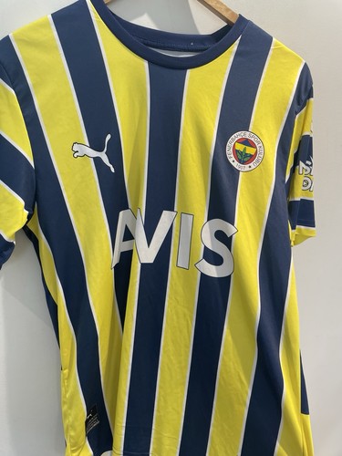 Fenerbahce 2022 home - 2022/23,