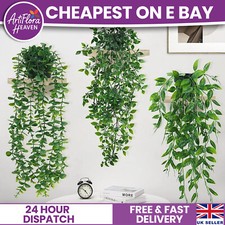 Hanging Plants in Pots Set of