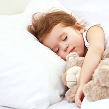 Cot Bed Duvet And Pillow Baby
