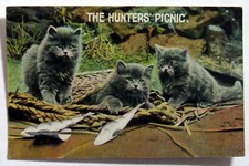 Postcard - THE HUNTERS' PICNIC, BLUE PERSIAN KITTENS WITH FISH (AN9-11)