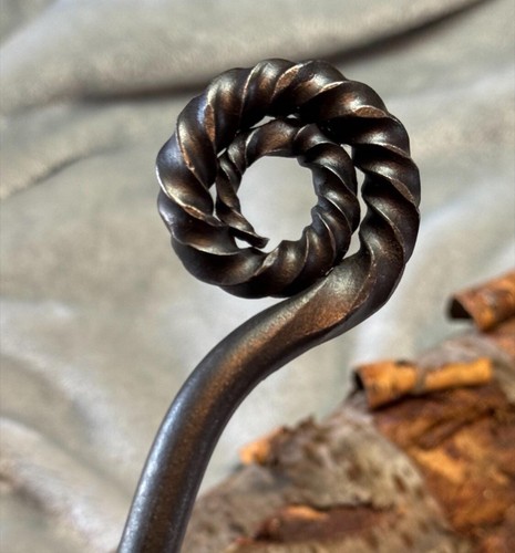 Ammonite head log fire - ammonite,
