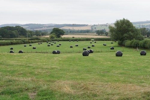 Photo 12x8 silage - 12x8,