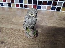 royal doulton owl 3ins