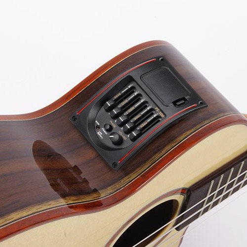 Band acoustic electric - 5,