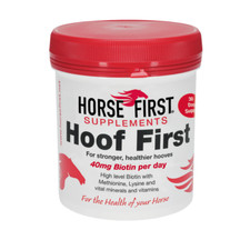 Horse first hoof - hoof,