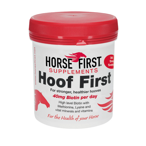 Horse first hoof - horse,