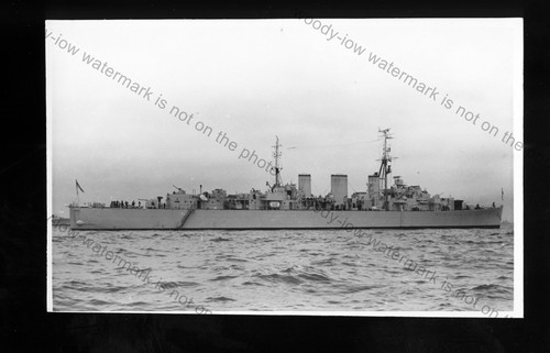 Nv025 royal navy - royal,