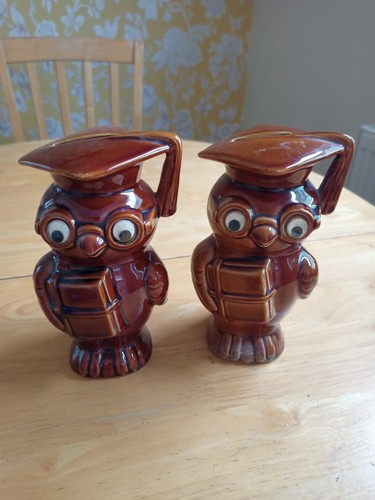Pair scholar owl - scholar,