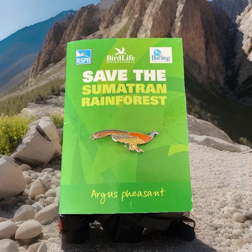 Save the sumatran rainforest - sumatran, ~