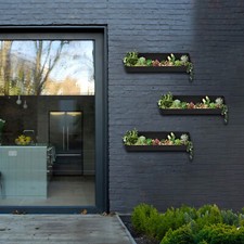 Vertical garden living - garden, wall