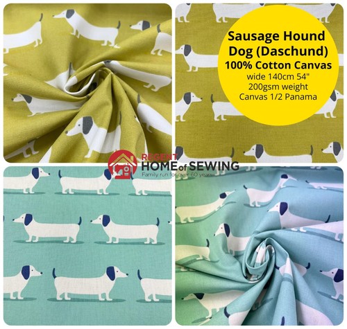 Sausage daschund hound - hound, dog