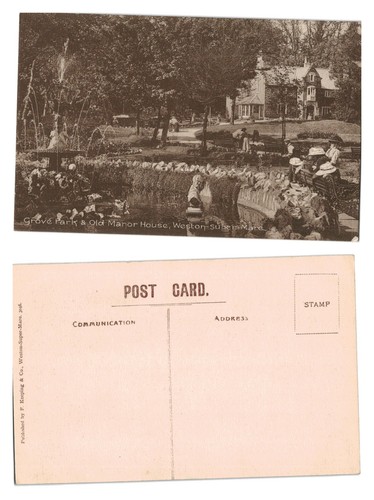 Vintage postcard grove - vintage, park