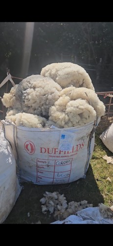 Raw unwashed sheeps - unwashed,