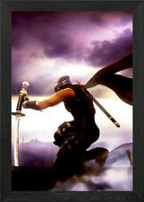 Ninja gaiden Framed Wall Art