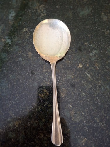 Large serving spoon - large, ashberry