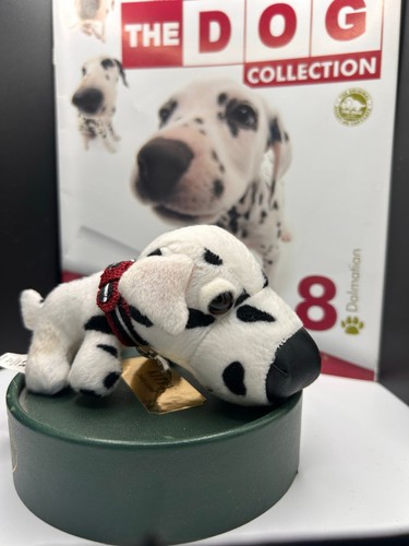 The dog collection dalmatian - collection, 8