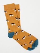 Beagle dog  yellow socks by