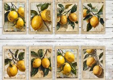 Vintage Lemon Card Toppers for