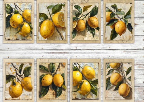 Vintage lemon card - vintage,