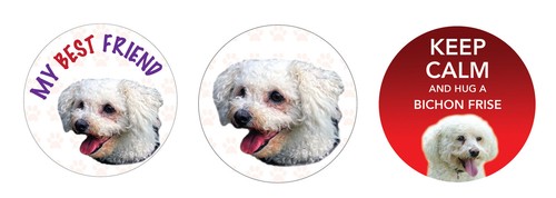 Bichon frise dog - x, vinyl