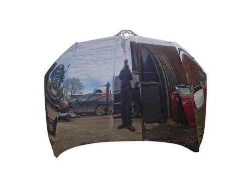 Skoda octavia bonnet - bonnet, paint