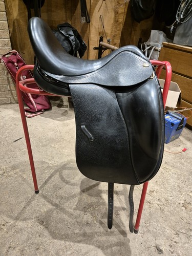 Harry dabbs elegant dressage - dabbs, "elegant"