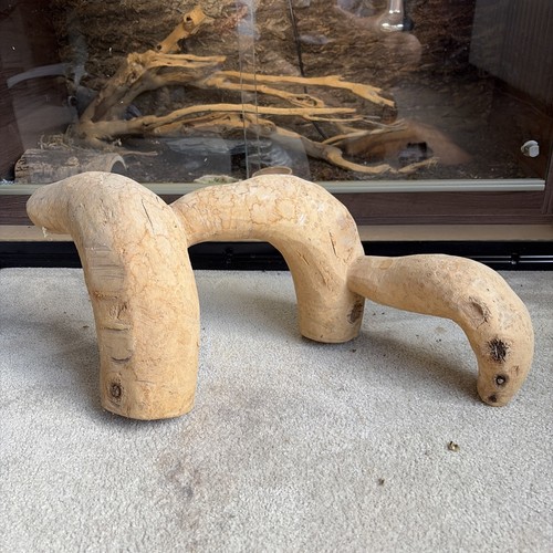 Large bamboo root - for, reptile