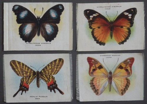 Butterflies moths silks - moths,