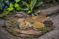 Blackwater Shrimp Food Bundle