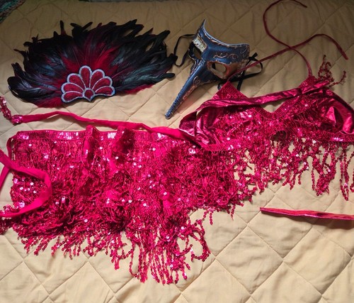 Ladies costume feather - costume,