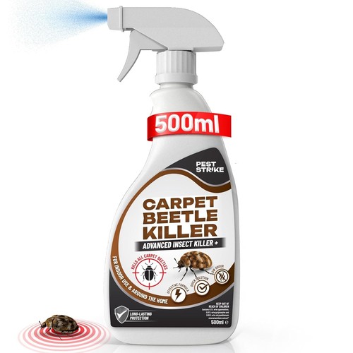 Carpet beetle spray - carpet,