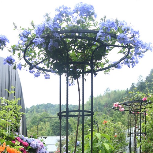 Vertical umbrella trellis - ,