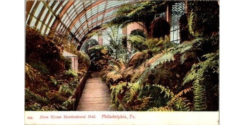 1876 philly fern - philly,