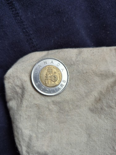 Canadian dollar coin 2011 - 2,
