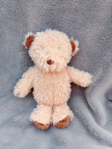 George asda small fluffy teddy - george,