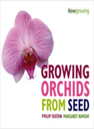 Growing orchids from - growing,