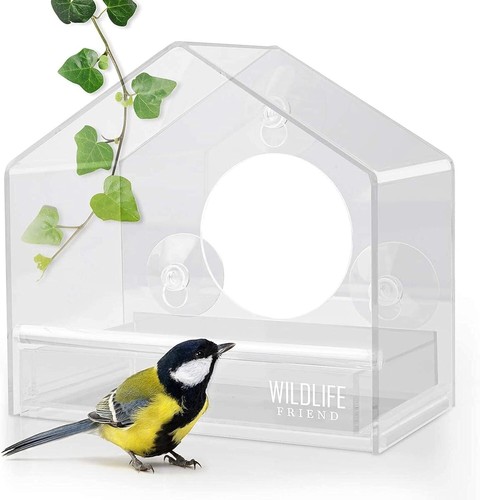 Bird feeder acrylic glass - feeder,